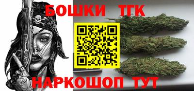 шишки Абакан