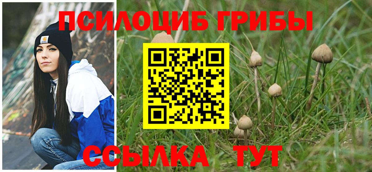 Псилоцибиновые грибы мухоморы Альметьевск