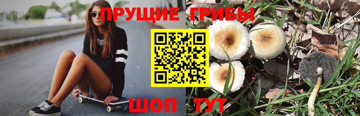 Псилоцибиновые грибы прущие грибы Альметьевск
