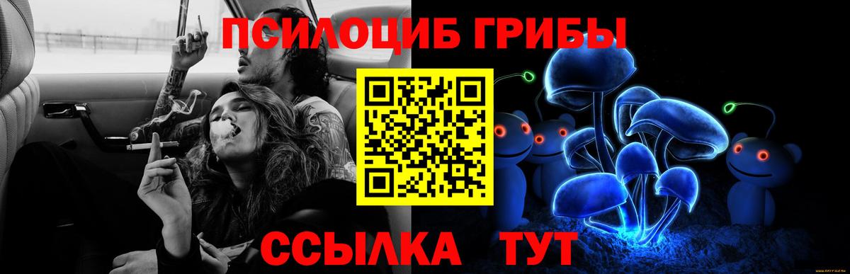 Псилоцибиновые грибы Cubensis  Вход с VPN  Альметьевск 